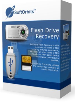 Flash Drive Recovery Personal (Онлайн поставка)