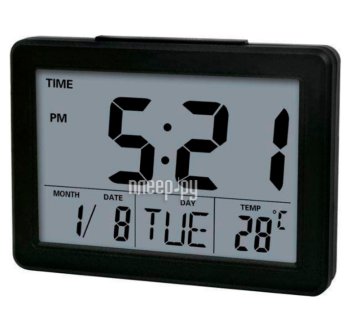 Термометр Perfeo "Phyllis", чёрный, (PF-F2619) время, температура, дата [PF_C3737]